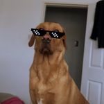 Preston McBride - @prestonmcbride12 - Instagram