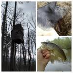 Preston McCarty - @pig_showing_kid_00 - Instagram