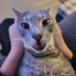 preston mcgrath - @pr.eston423 - Instagram