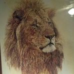 Preston McLean - Facebook