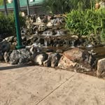 Preston Mize - @preston.fishing1 - Instagram