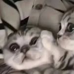 Preston Murphy - @prestonn.18 - Instagram