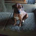 Preston Ogle - Facebook