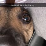 Preston Blake Pattillo - @sir_yui_messina - Instagram