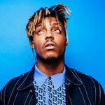 Preston the Plattypus - @preston_the_plattypus - Instagram