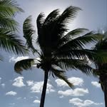 Preston Pratt - @ppratt3 - Instagram