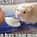 Preston Rawls - Facebook