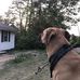 Preston Ross - Facebook