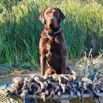 Preston Roth - @presroth129 - Instagram