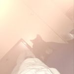 Preston Rothwell - @prestonrothwell - Instagram