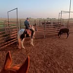 Preston Seehausen - @seehausen.preston - Instagram