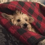 Preston Shull - @preston_shull - Instagram