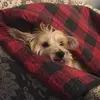 preston_shull - @preston_shull - TikTok