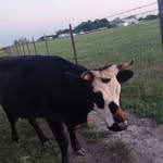 Preston Sparkman - @ctx.preston2010 - Instagram