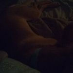 prestonteel - @prestonteel - Instagram