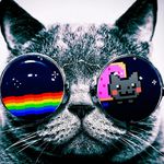 Preston Tilley - @parsley.spamz - Instagram