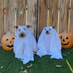 Preston and Tyson - @prestonandtyson - Instagram