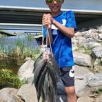 Preston Vang - Facebook