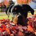 Preston Vickers - Facebook