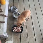 Preston Wayne - @preston.wayne.752 - Instagram