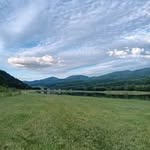 Preston Whitehead - @preston_whitehead - Instagram