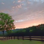 Preston Whitehead - Facebook