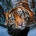 Prevost Prevost - Facebook