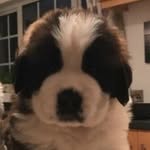 Scott Price-Moore - @scottpricemoore - Instagram