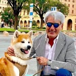 price White - @pricewhite57 - Instagram
