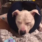 Prima Butler - Facebook