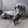princessbranch_ - @princessbranch_ - TikTok