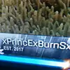 Brennen Burns - @xprincexburnsx - TikTok