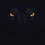 prince collier - @princec687 - Instagram