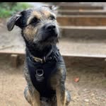 Prince Cooper Of Berkshire - @supercoopercrick - Instagram
