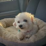Humphrey - @princehumphrey - Instagram