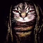 Prince Humphrey Llanes - @humprincell - Instagram
