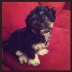 🎩Prince.Humphrey - @prince.humphrey - Instagram