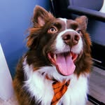 Prince Kirkpatrick - @princekirkpatrick - Instagram