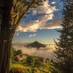 Prince Kirkuk - @prince_kirkuk85 - Instagram