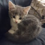 Prince Mackey - @princypoo101 - Instagram