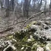 Moss Prince - @princemossiboi - TikTok