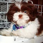 Prince Newman 👑 - @prince_newman - Instagram