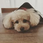 Prince Oppong - @princeoppong013 - Instagram
