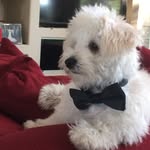 Prince Ortiz - @princetolove - Instagram