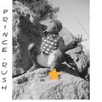 Prince Rush King Popi - @princerushkingpopi - Instagram