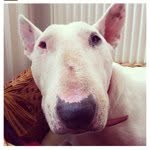 Princess Heloise Bates - @princessloubaby - Instagram