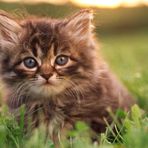 Princess Benjamin - Facebook