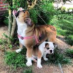 Princess Zelda &amp; Link Benjamin Von Buttons - Facebook