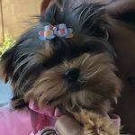 Princess Boyd 💕👑💕 - @princess_boyd18 - Instagram