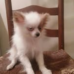 Jacie Byrd - @princess_byrd_2127 - Instagram